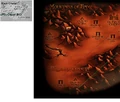 Thumbnail for version as of 04:30, March 2, 2007