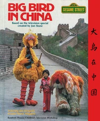 Big Bird in China (book)