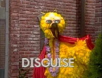 Bigbird-disguise.jpg
