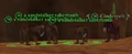 Cinderpelt.jpg