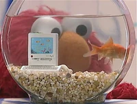 Ewcomputers-dorothy.jpg
