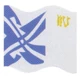Anakin Skywalker flag