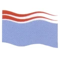 Ebe Endocott flag.jpg