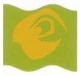 Mars Guo flag
