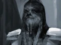 Weebacca.jpg