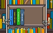 Library 2