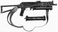 Bizon-1-sm.jpg