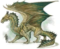 Bronze Dragon.JPG