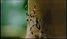 Spider. Expose.jpg