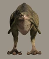 Nuna.jpg