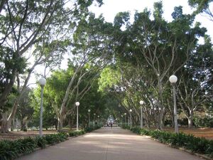 SadieMullerPark