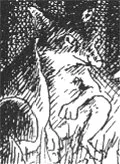 Brool-1-.jpg