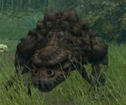 Zakkeg.jpg