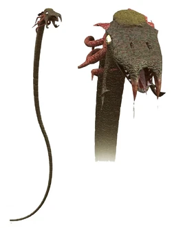 Amphistaff-NEGWT.jpg