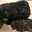 Mini-blackrocks.jpg