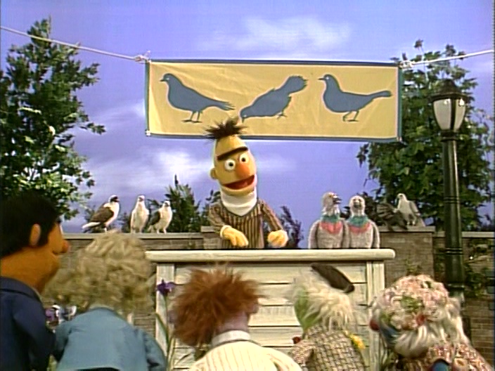 Song.cleanpigeons