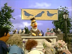 Song.cleanpigeons
