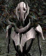 Nknecrosis
