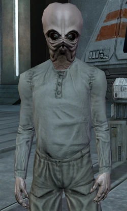 Jesi.png