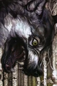 Fables 49