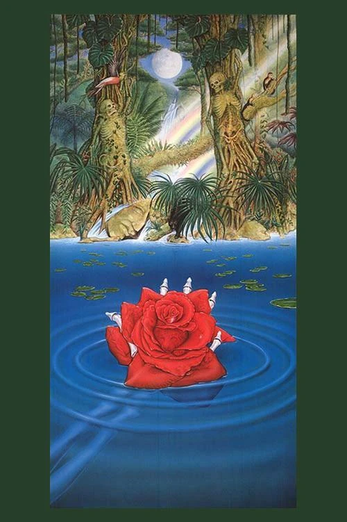 Rainforestbenefitposter.jpg