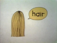 Hairtoon.jpg
