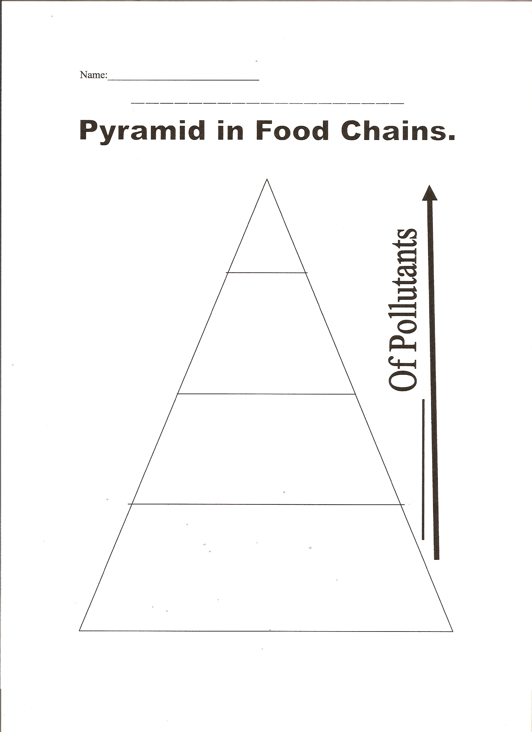 Food chains and webs essays   manyessays.com