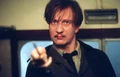 Lupin-train.jpg