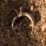 Mini-suns ring.jpg