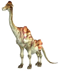 Dhalmel.jpg