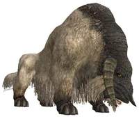 Ram.jpg