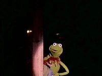 TMS-live-BVD2.jpg