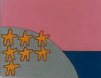 7starfish.jpg