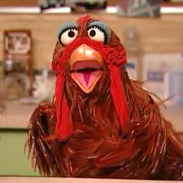 Henrietta-chicken