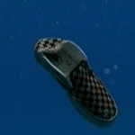 3x21-charlies-shoe