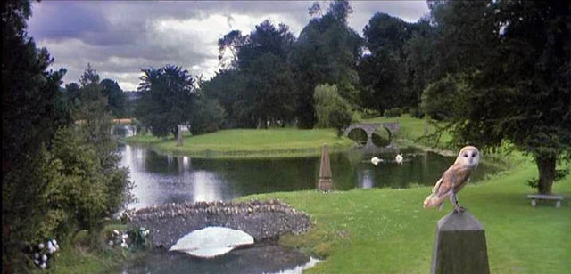 File:Owl underground.JPG