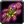 Inv staff 60
