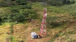 Radiotower233.jpg