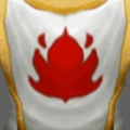 Scarlet High Tabard.jpg