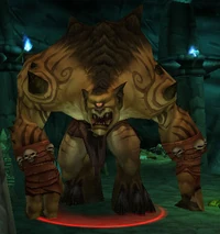 Image of Slaag