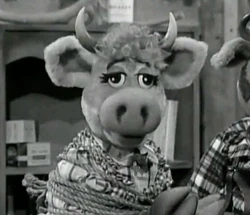 Dorothy bovine