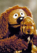 Rowlf67a