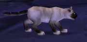 Mrbigglesworth.jpg