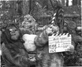 Ewoks-Klappe.jpg