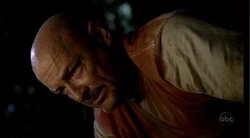 1x19LockeInsel.jpg