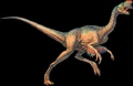 Oviraptor.jpg