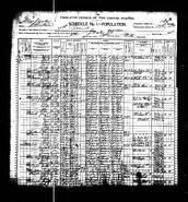 1900 census Carr Norton