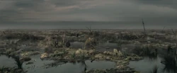 Dead-marshes