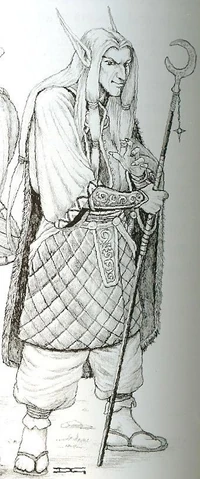 File:Highelfwizard.JPG