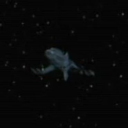 Andorian cruiser, forward